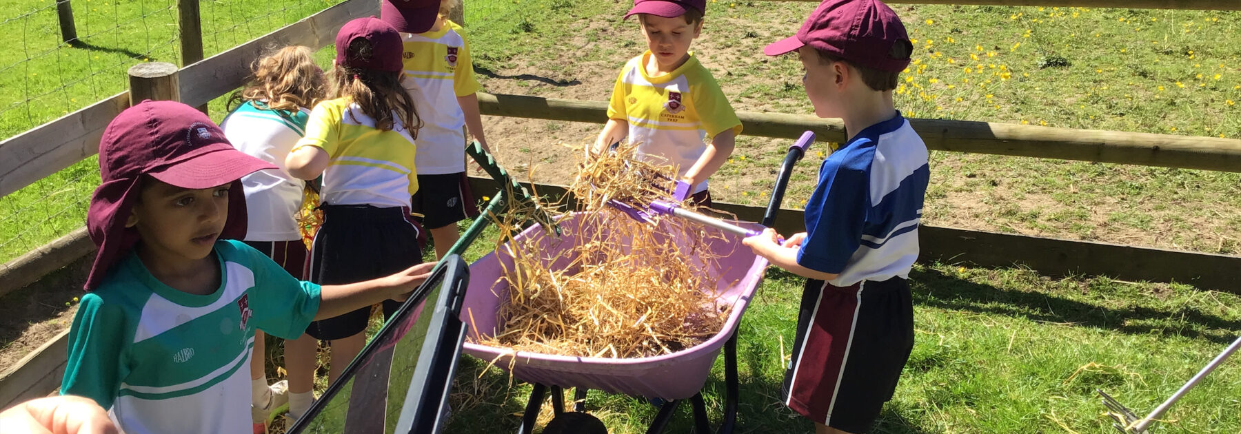 Reception Get Stuck in at Godstone Farm